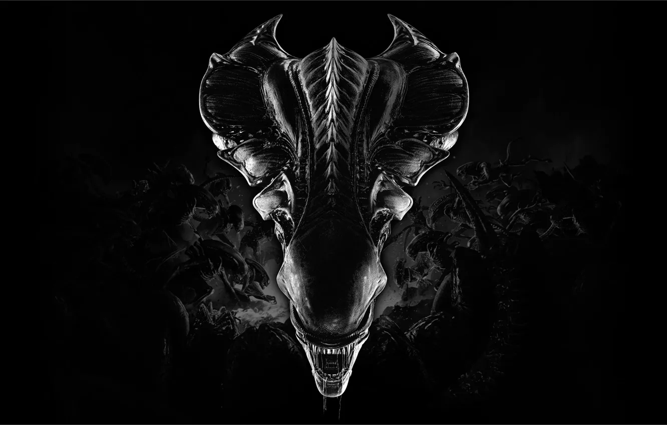 Фото обои Aliens, Cold Iron Studios, Fireteam Elite, Aliens: Fireteam Elite