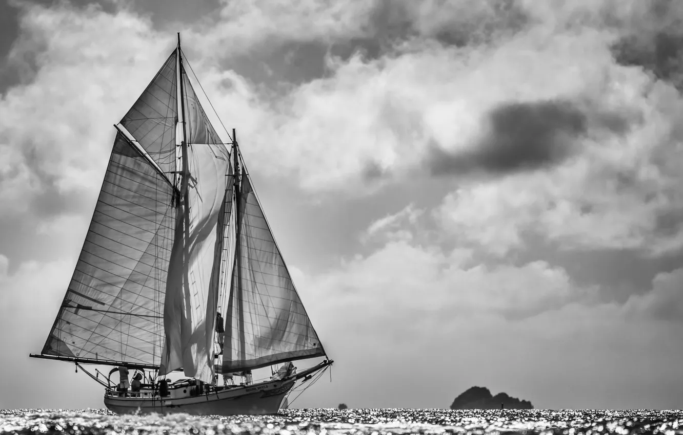 Фото обои море, фото, яхта, паруса, черно-белое, регата