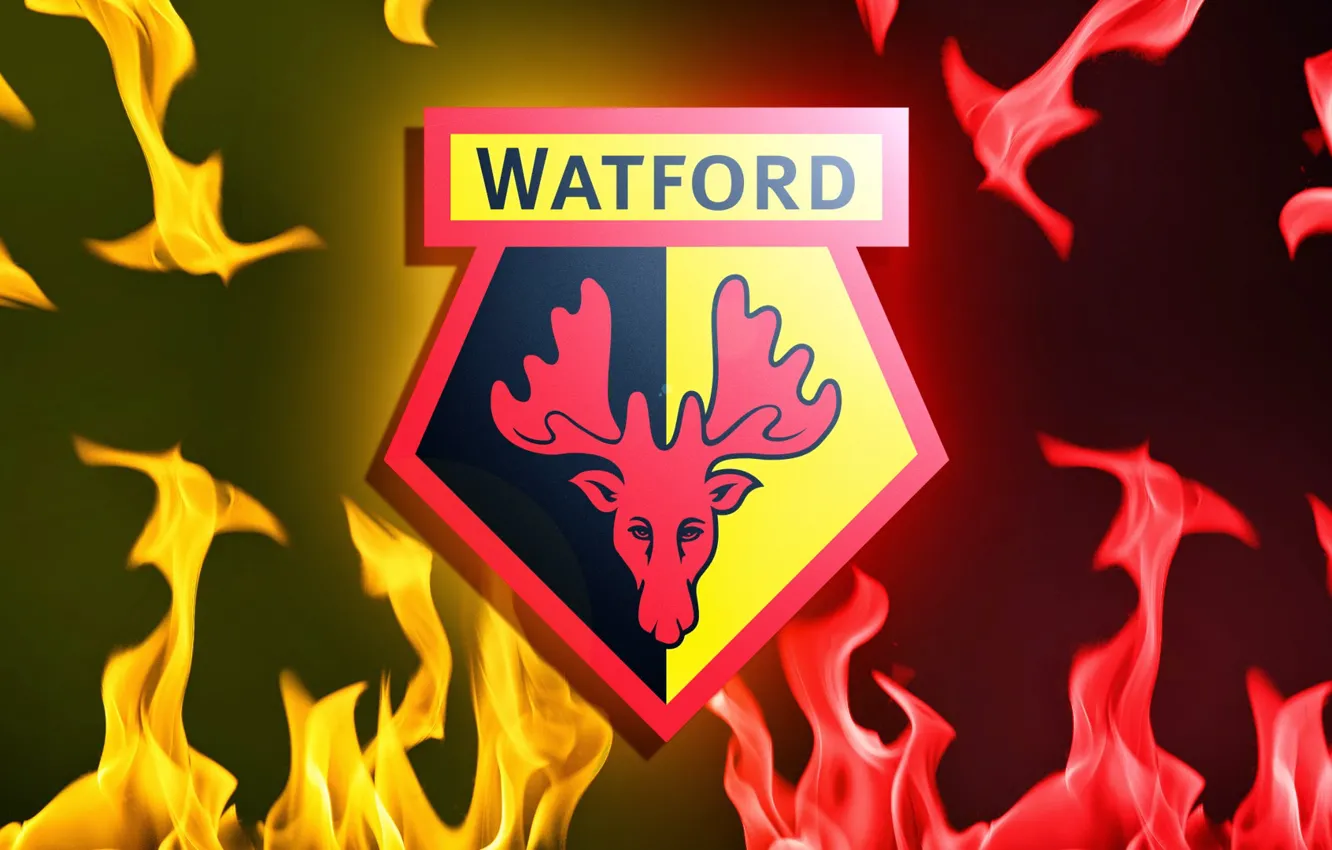 Фото обои wallpaper, sport, logo, football, Watford