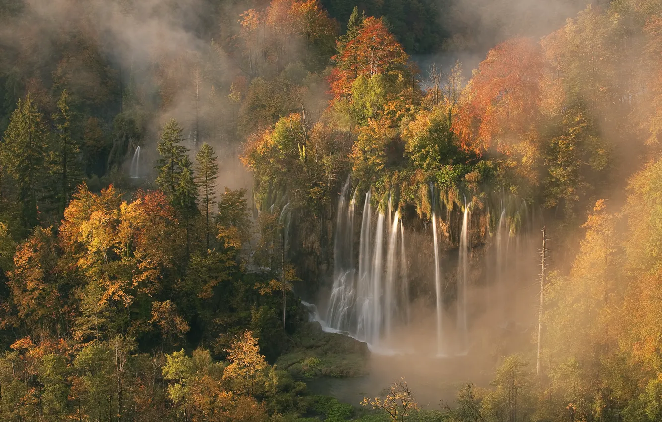 Фото обои лес, Хорватия, утренний туман, осенние цвета, свет зари, 5 октября 2008 года, Водопад Veliki prštavac