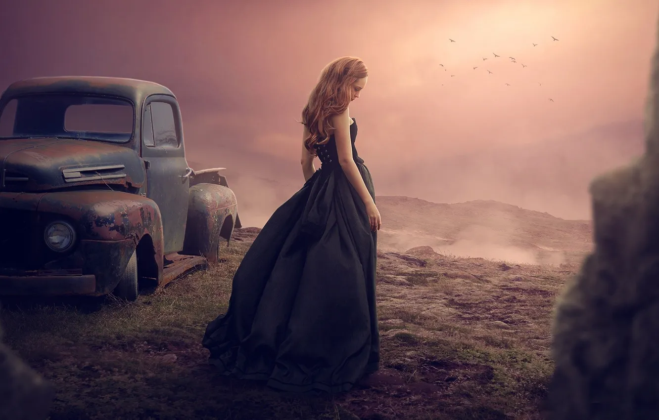 Фото обои девушка, птицы, платье, автомобиль