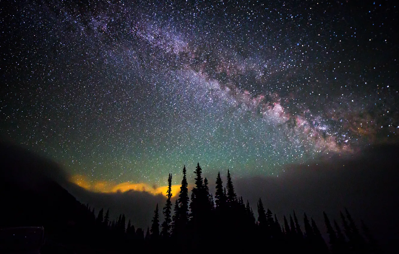 Фото обои небо, космос, звезды, деревья, ночь, пространство, млечный путь