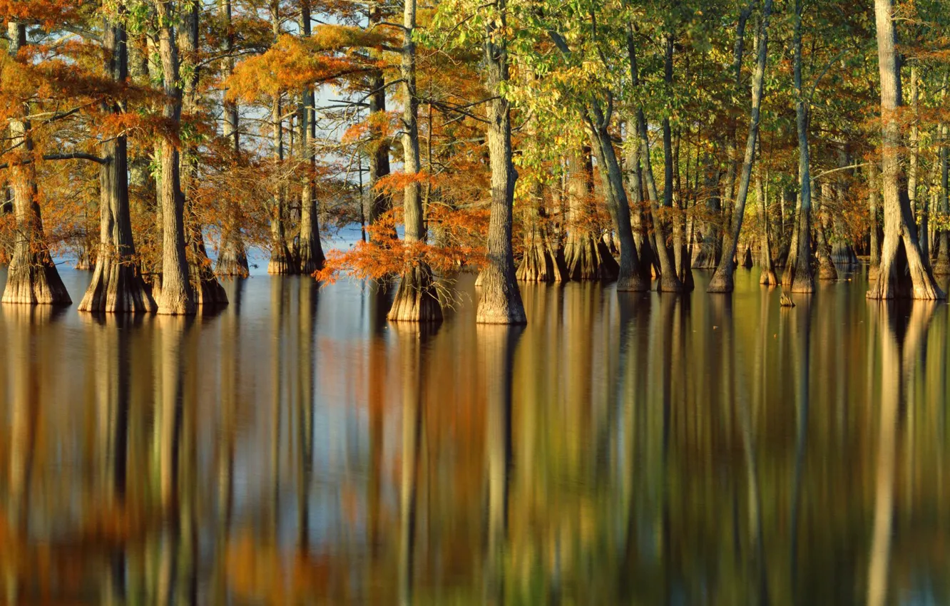 Фото обои осень, вода, деревья, природа, река, фото