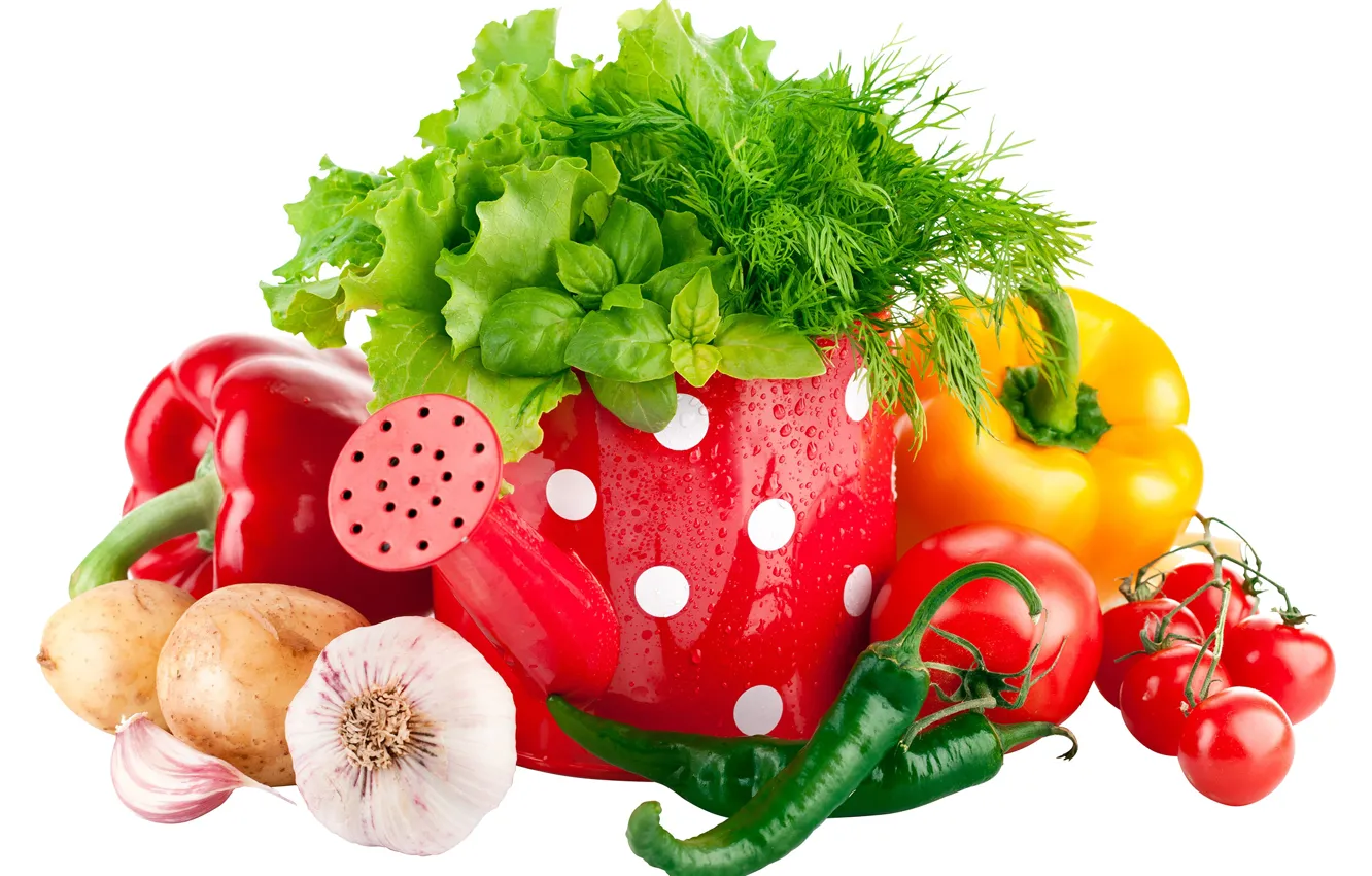 Фото обои зелень, лейка, перец, овощи, помидоры, салат