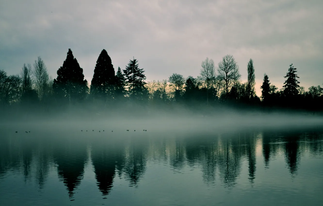 Фото обои небо, деревья, природа, туман, река, рассвет, дымка, раннее утро