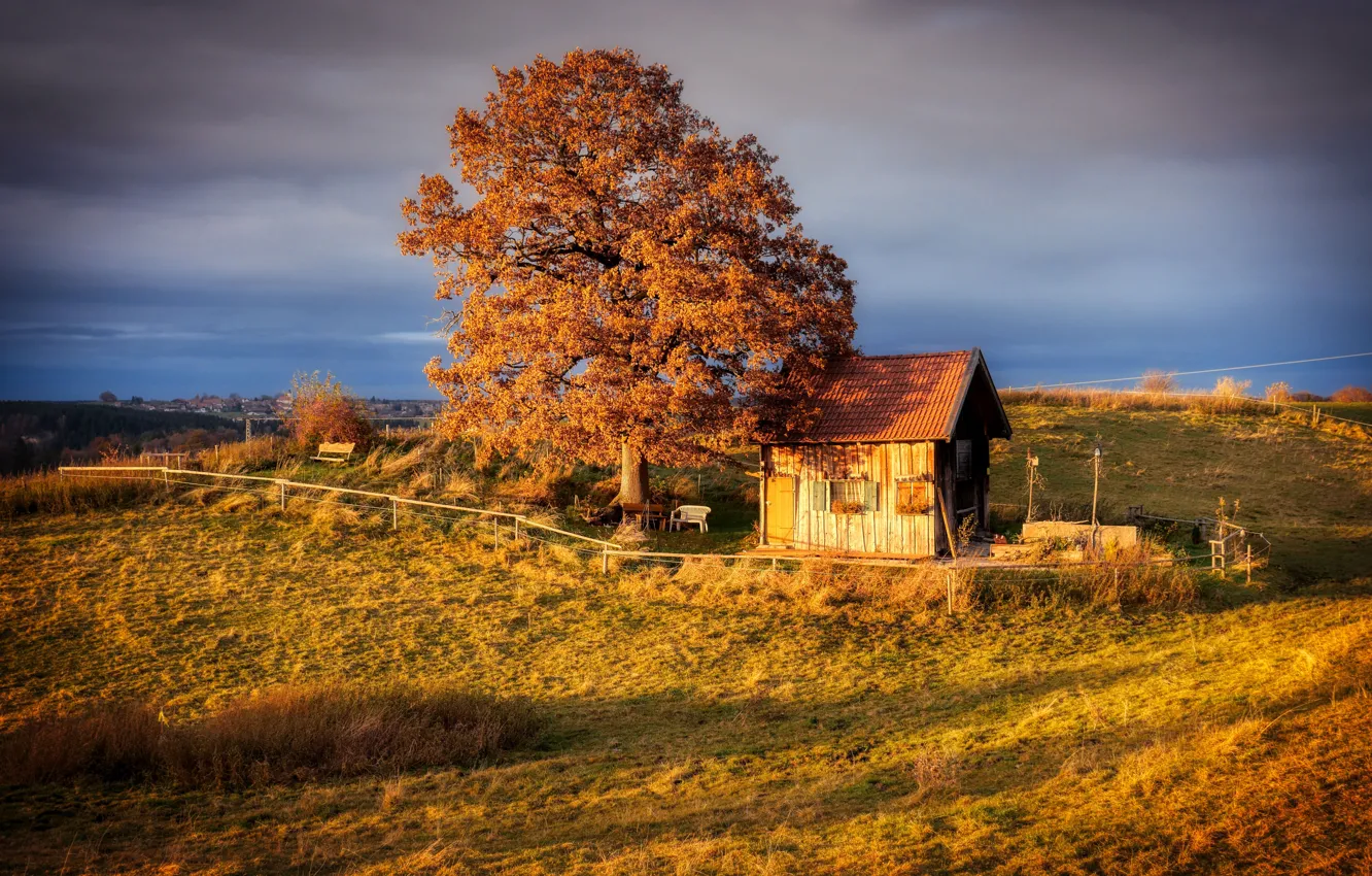 Фото обои поле, осень, небо, облака, свет, дерево, домик, крона