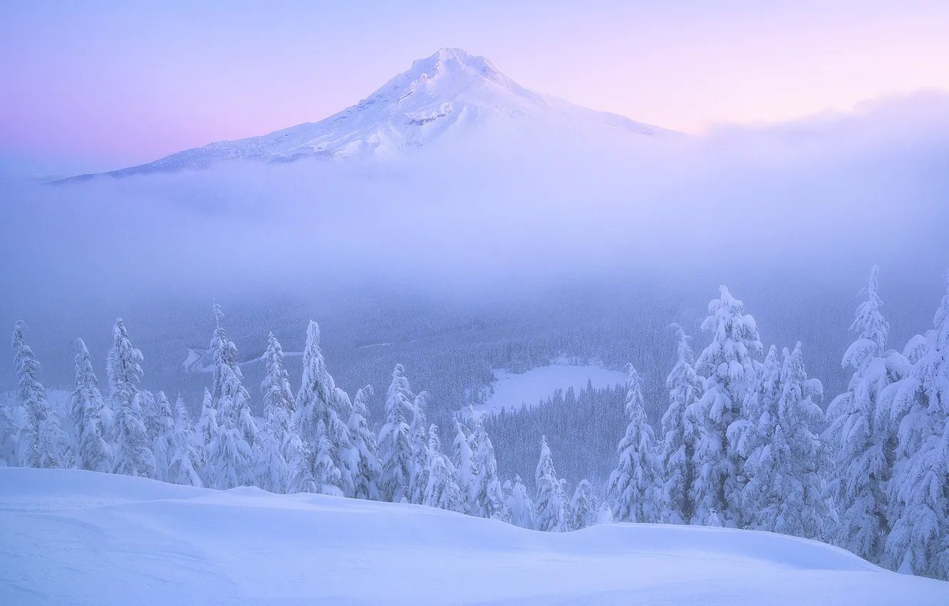 Фото обои зима, лес, снег, рассвет, гора, утро, ели, Орегон