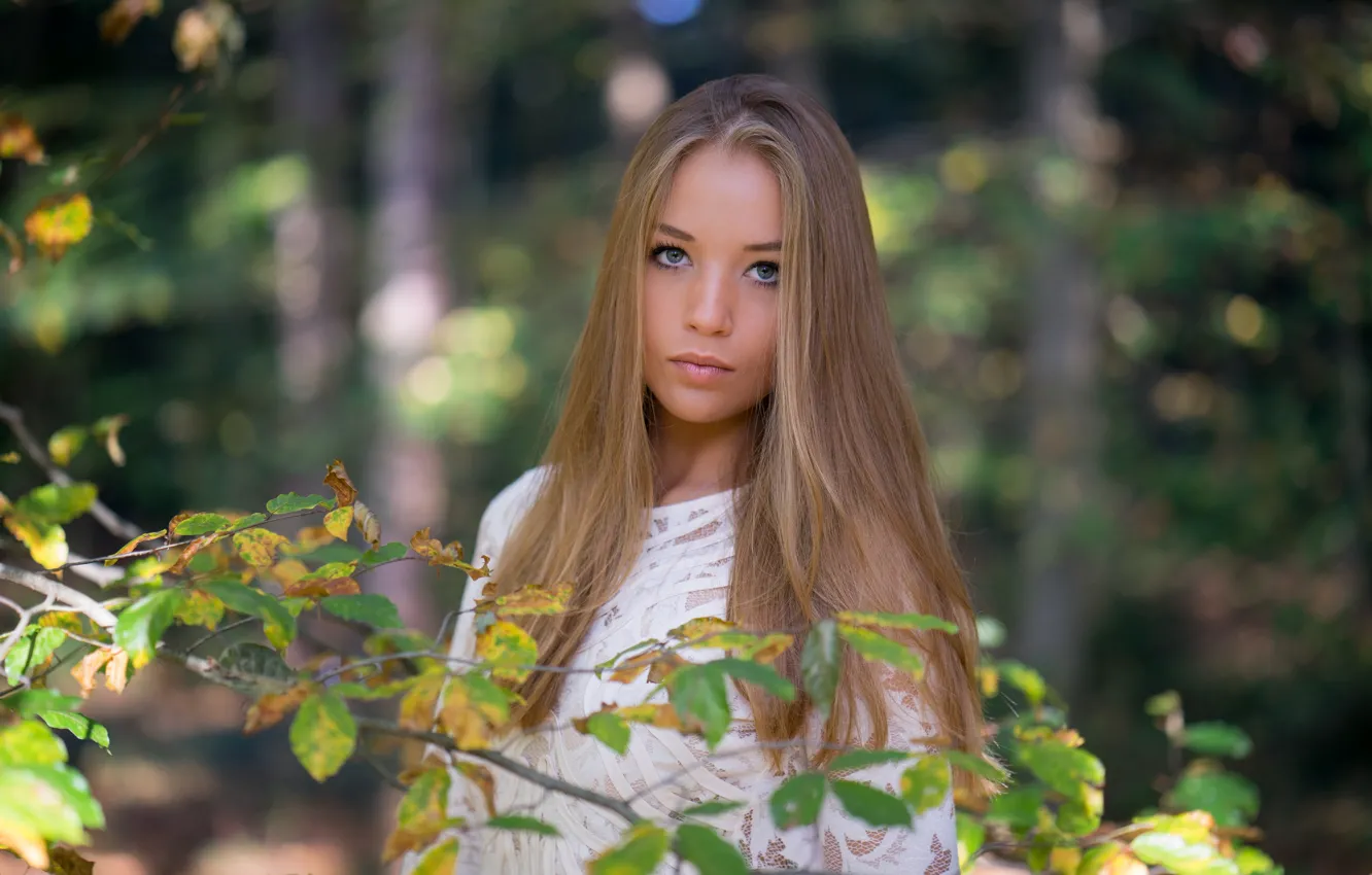 Фото обои взгляд, фон, модель, красотка, Carla