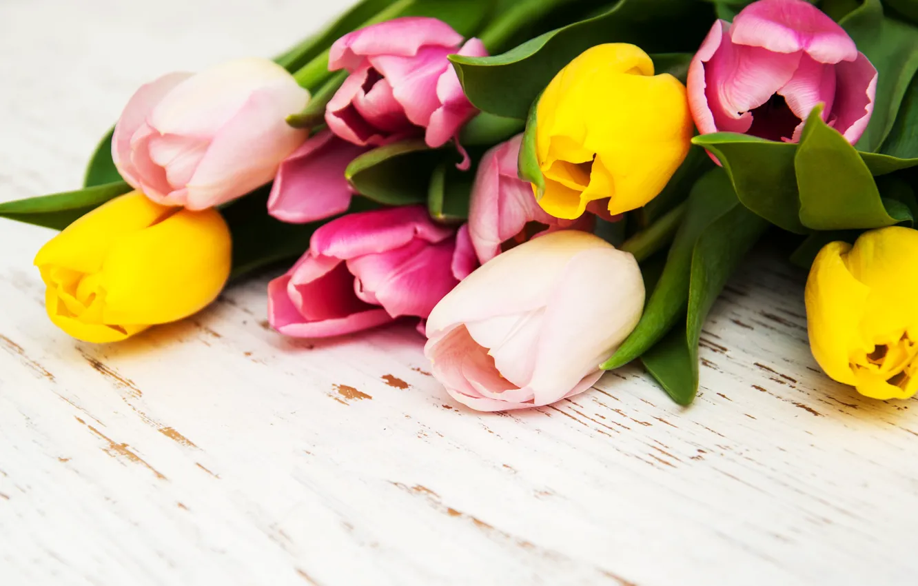 Фото обои цветы, букет, colorful, тюльпаны, flowers, tulips