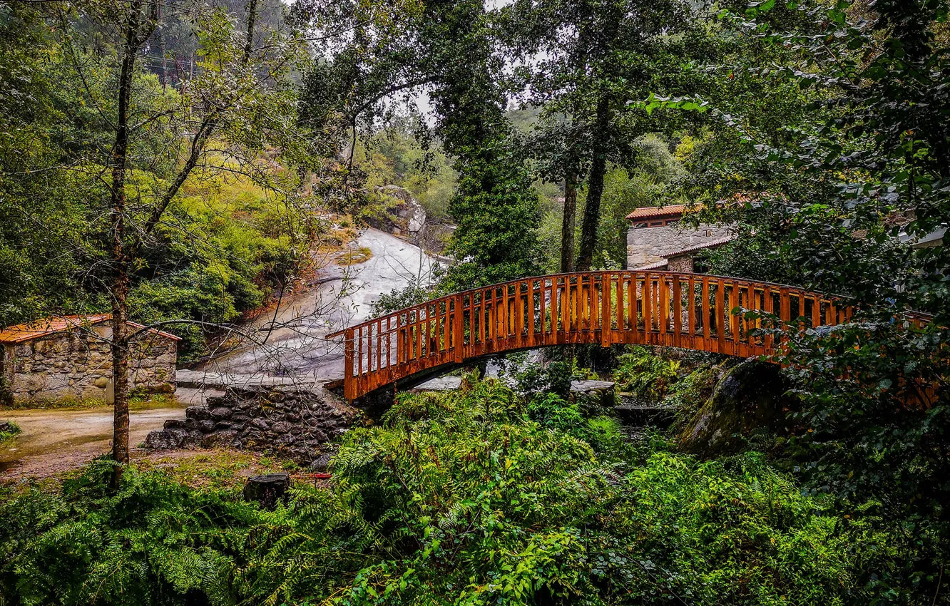 Фото обои зелень, лес, деревья, мост, парк, Испания, Galicia, Barro