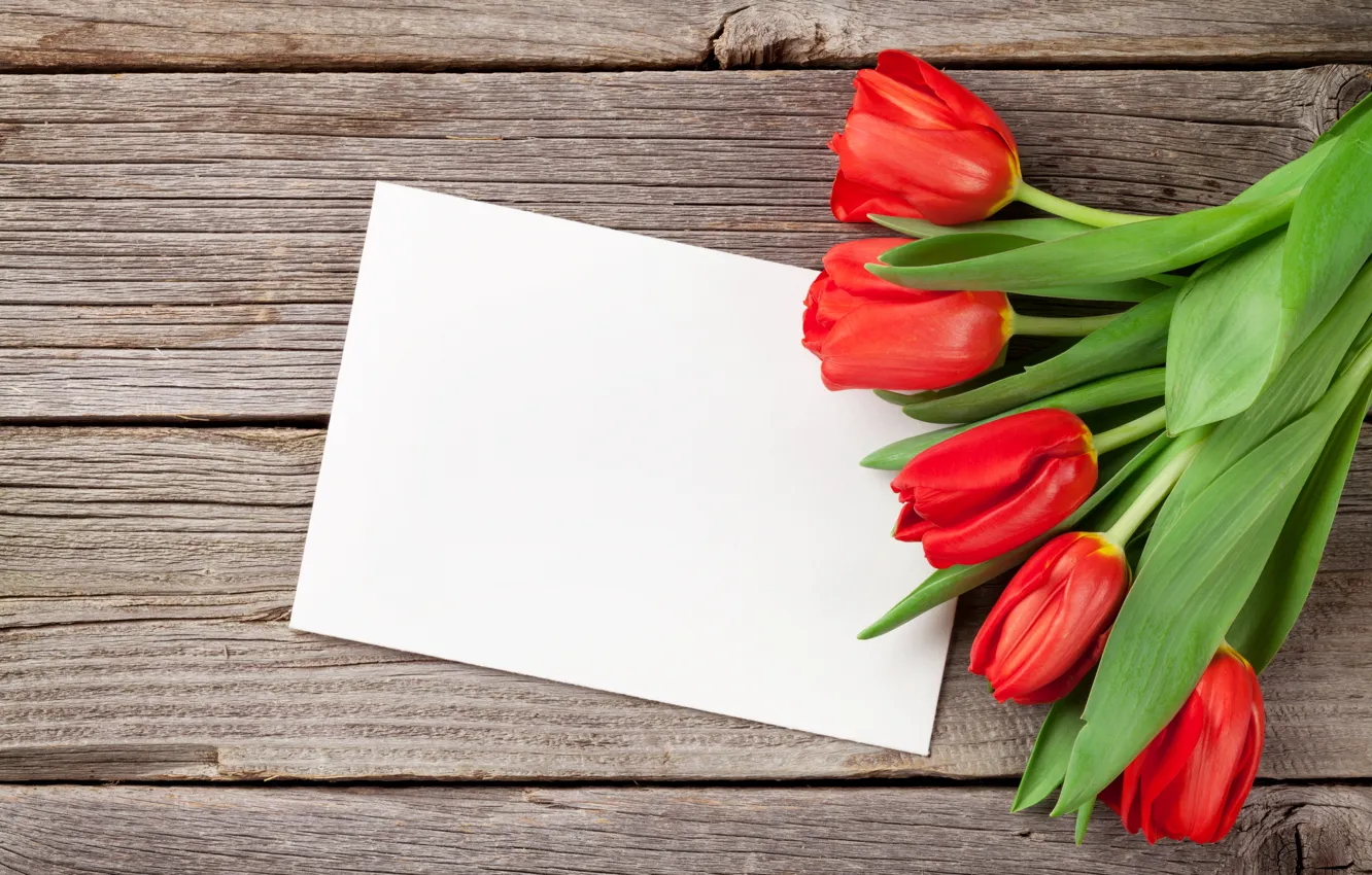 Фото обои любовь, цветы, букет, тюльпаны, red, love, wood, flowers