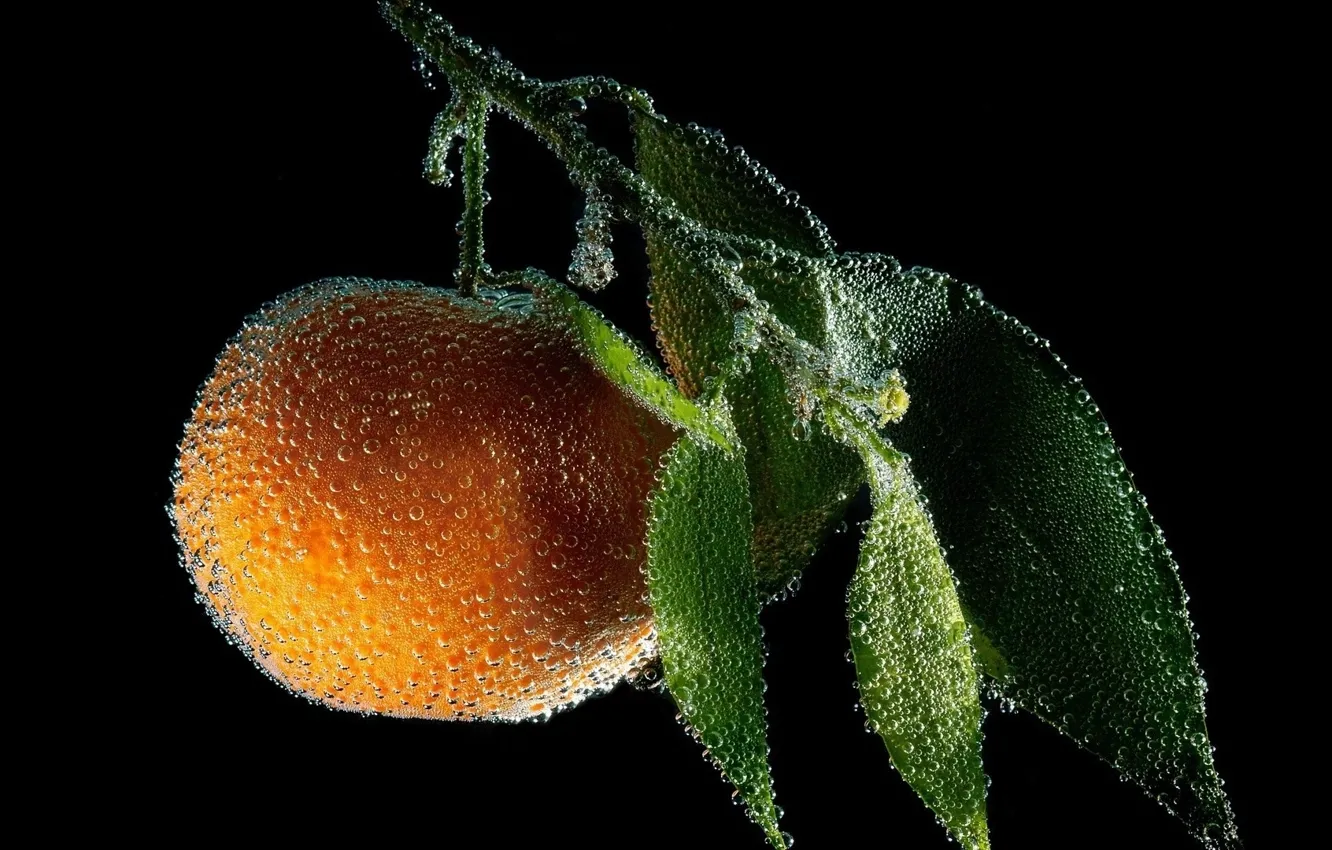 Фото обои фрукт, персик, капри росы