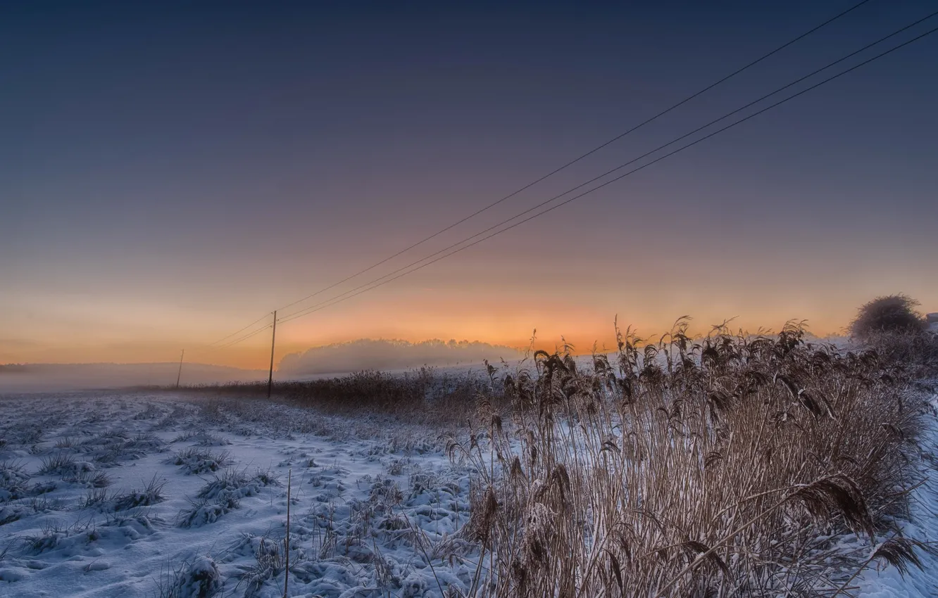 Фото обои зима, поле, снег, вечер