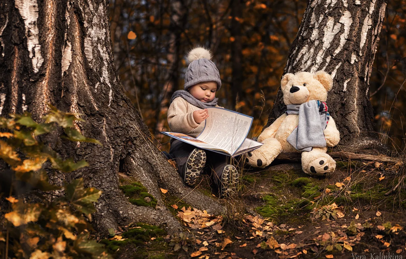 Фото обои деревья, шапка, игрушка, медведь, девочка, книга