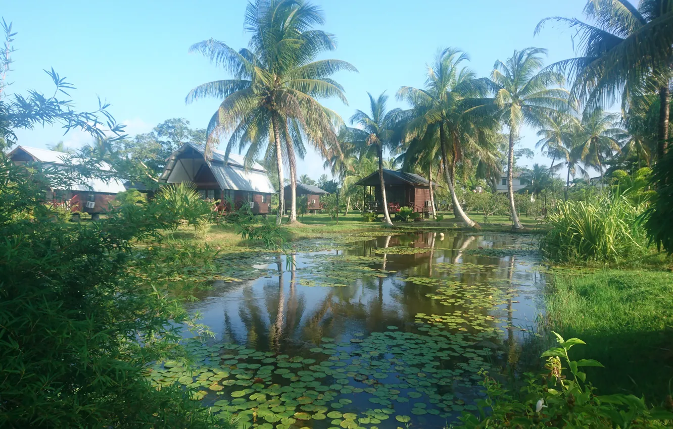 Фото обои Frederiksdorp Suriname, Plantages in Suriname, Nature resorts, Plantations in Surinam