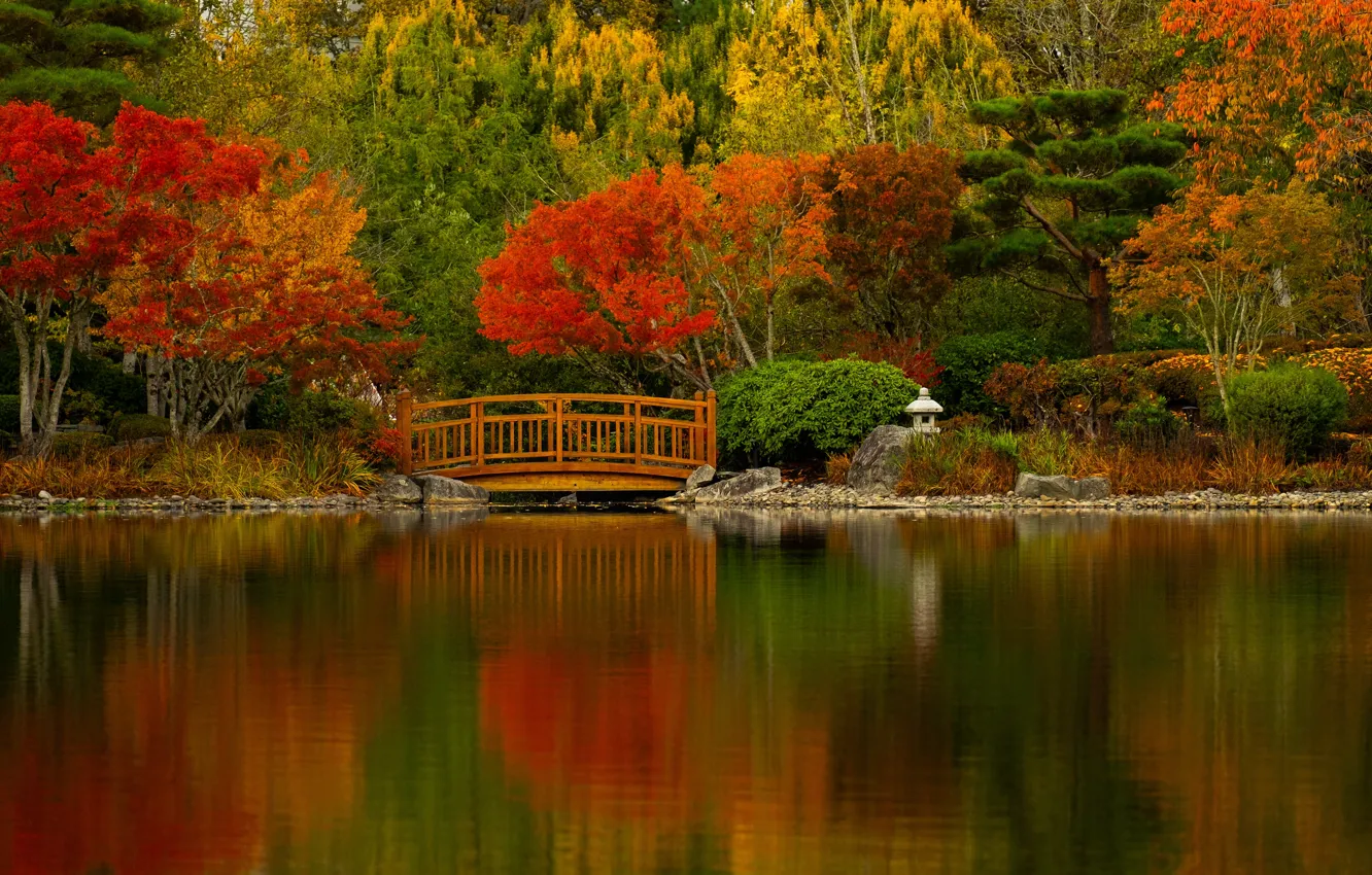 Фото обои осень, деревья, мост, озеро, пруд, Орегон, Oregon, водоём