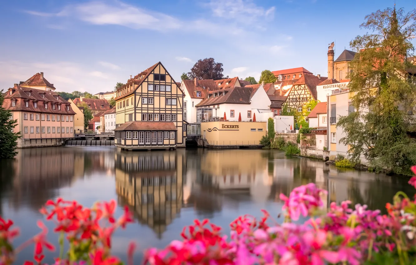 Фото обои цветы, река, здания, дома, Германия, Бавария, Germany, Bamberg