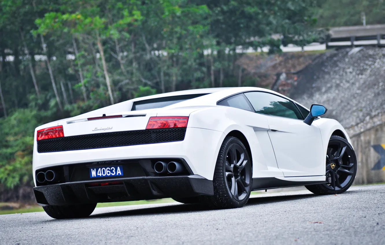 Фото обои белый, Lamborghini, вид сзади, ламборгини, галлардо, Gallardo LP550-2, &ampquot;MLE&ampquot;