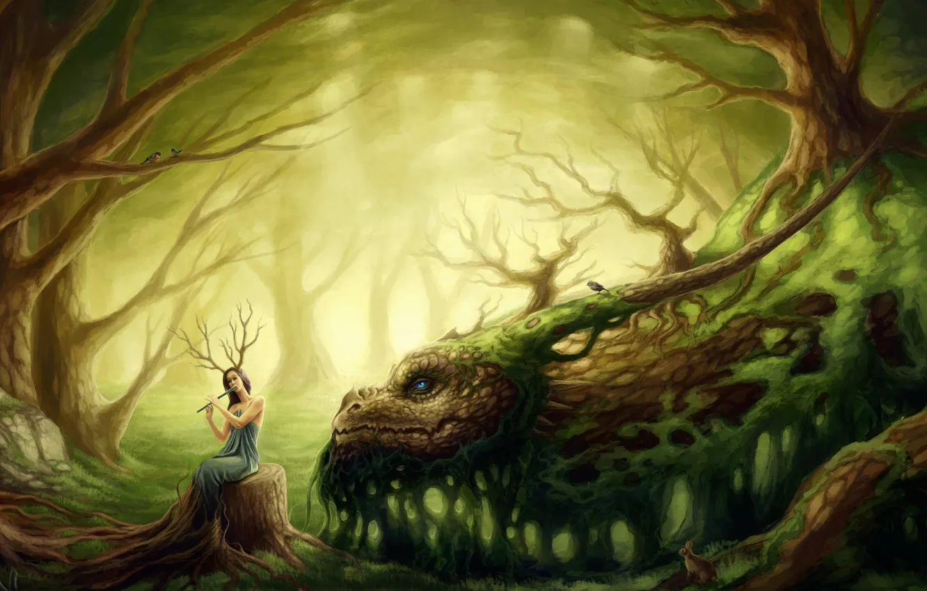 Фото обои лес, девушка, дракон, друид, лесной