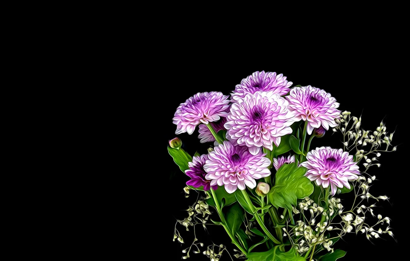 Фото обои рендеринг, Цветы, черный фон, букет хризантем