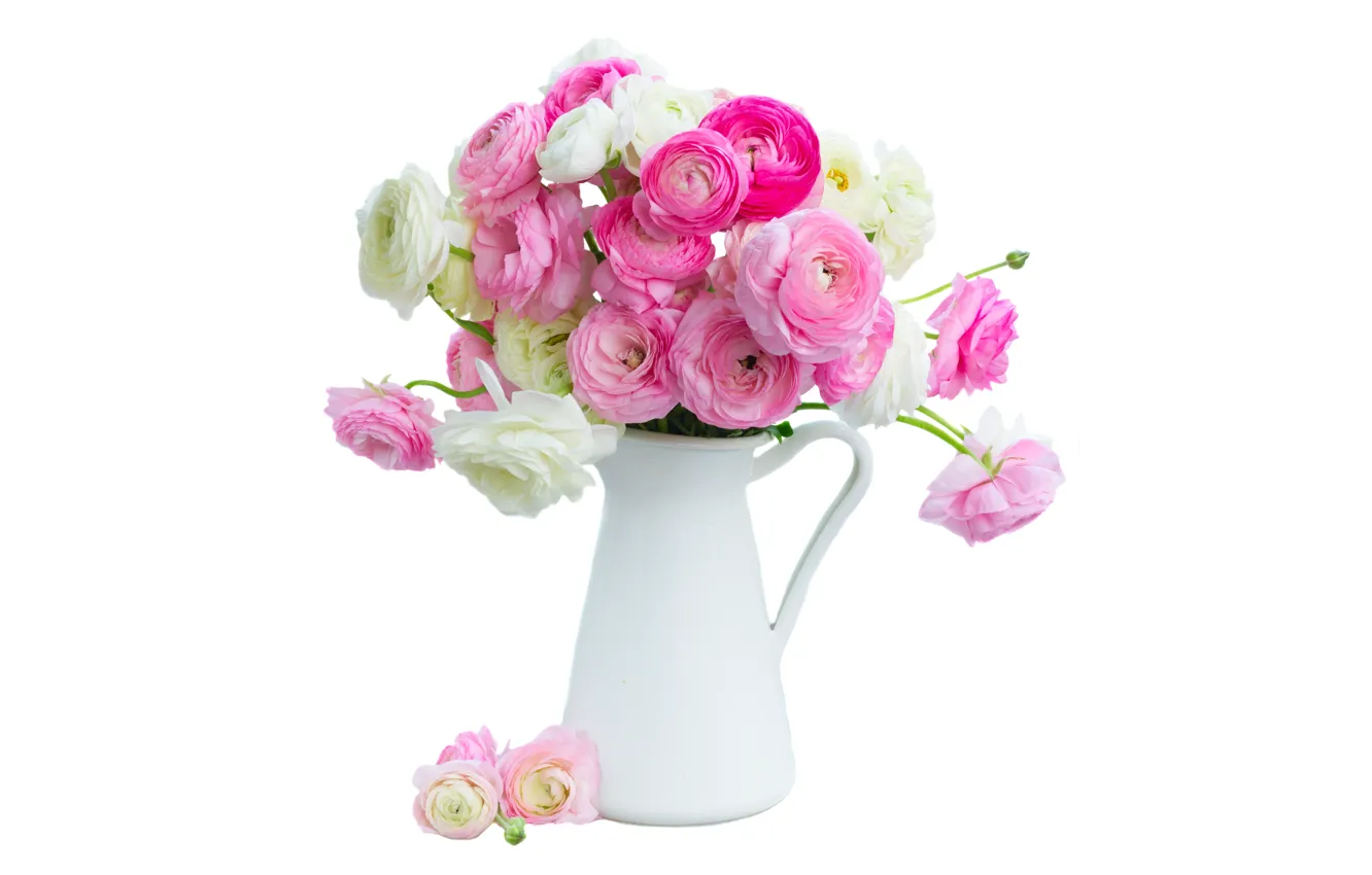 Фото обои white, pink, розовые цветы, flowers, beautiful, лютики, ranunculus