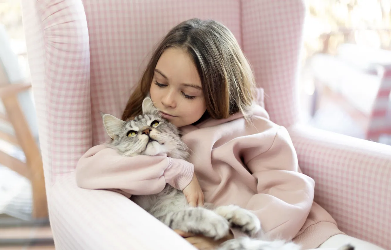 Фото обои кот, кресло, девочка