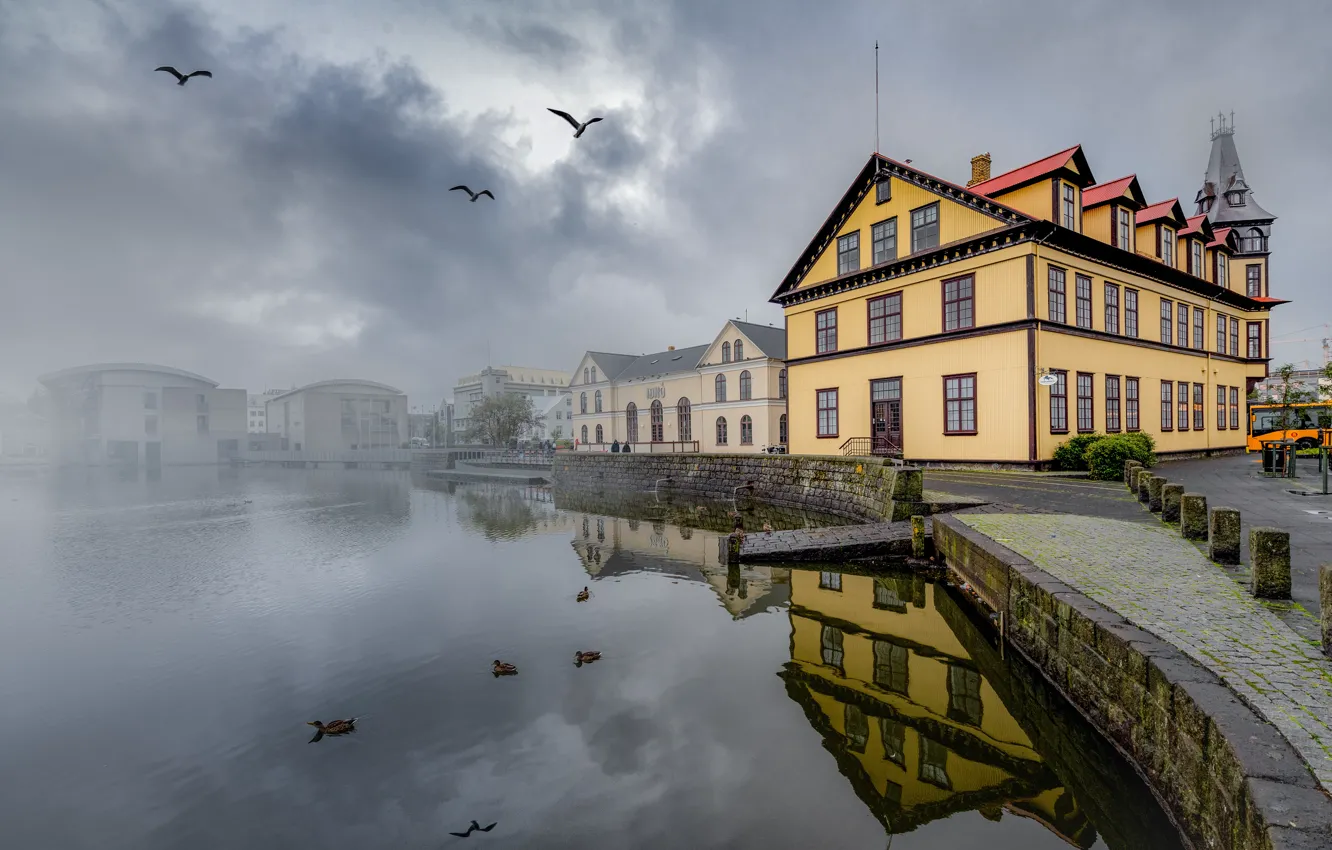 Фото обои облака, птицы, туман, дом, пасмурно, берег, здания, чайки