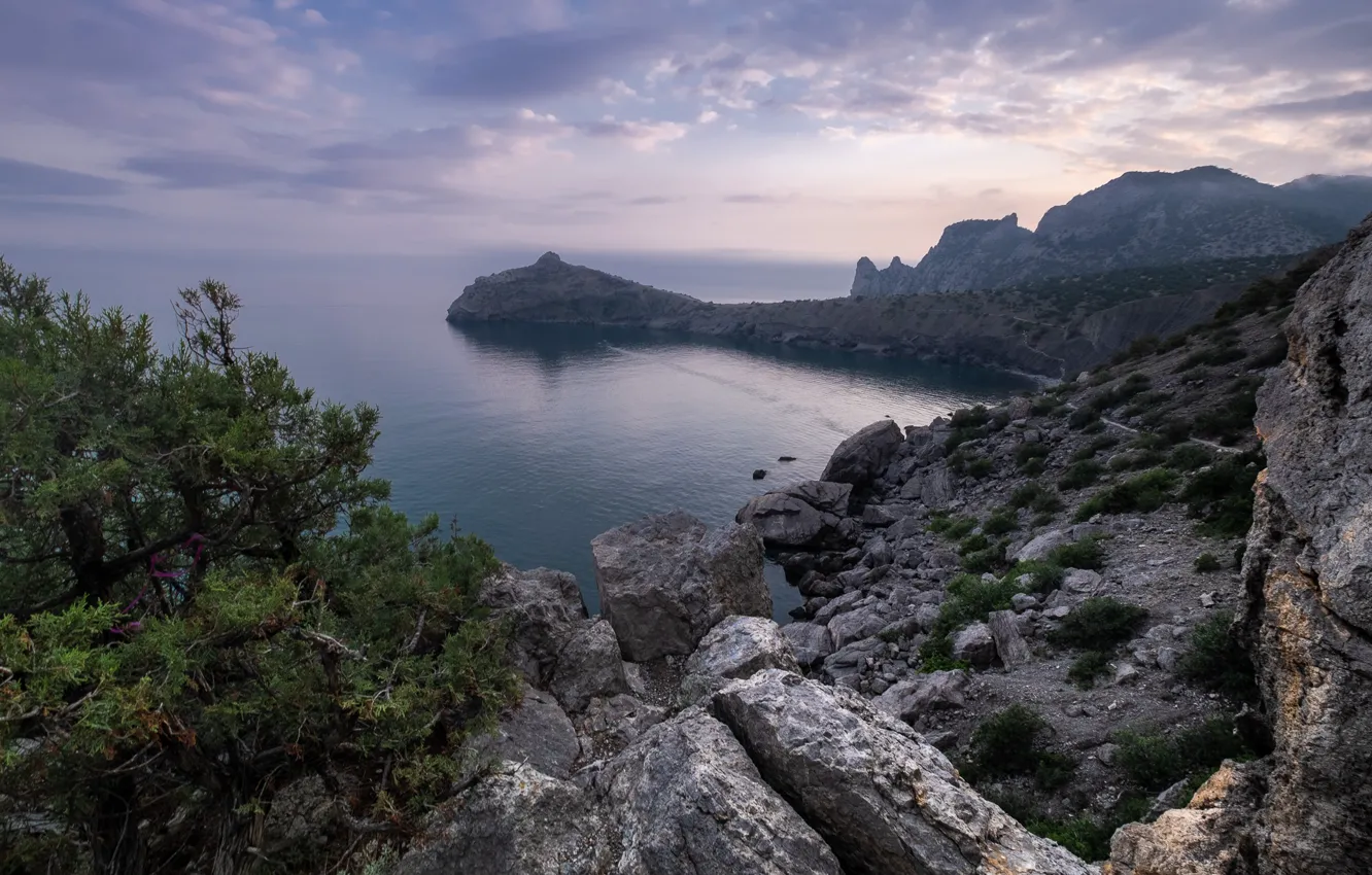 Фото обои море, пейзаж, горы, природа, камни, скалы, Крым, Новый Свет