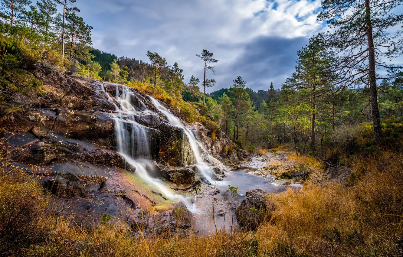 Фото обои осень, лес, деревья, водопад, Норвегия, каскад, Norway, Ругаланн