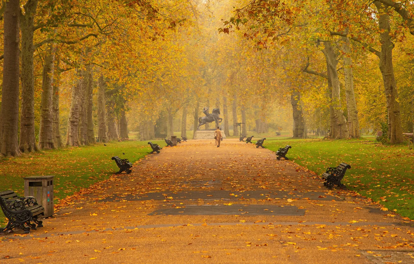 Фото обои осень, парк, женщина, скамейки, пальто, лавочки