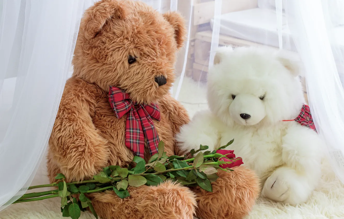 Фото обои игрушка, розы, мишка, bear, romantic, teddy, roses