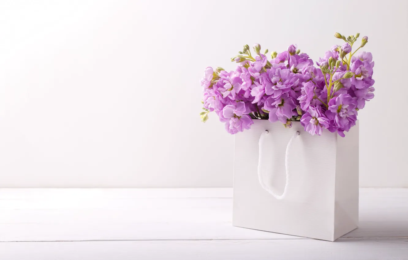 Фото обои цветы, доски, букет, пакет, сумочка, светлый фон, сиреневые, левкой