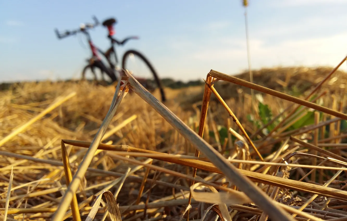 Фото обои #grass, #nature, #bike, #sunset