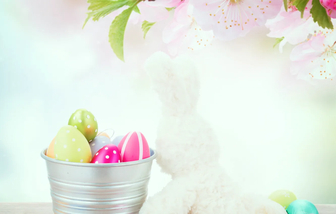 Фото обои цветы, праздник, игрушки, доски, заяц, яйца, ветка, Пасха