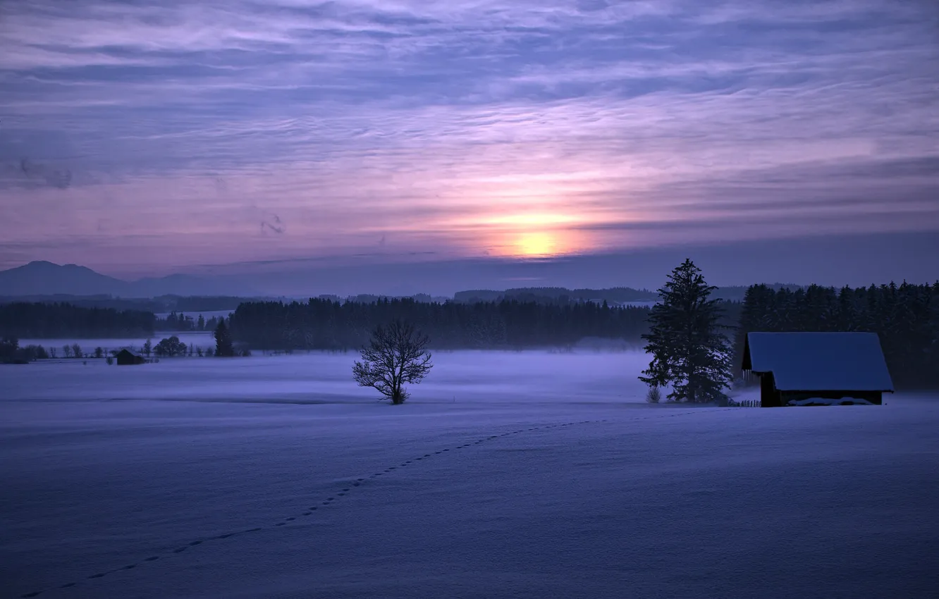 Фото обои зима, поле, ночь, дом