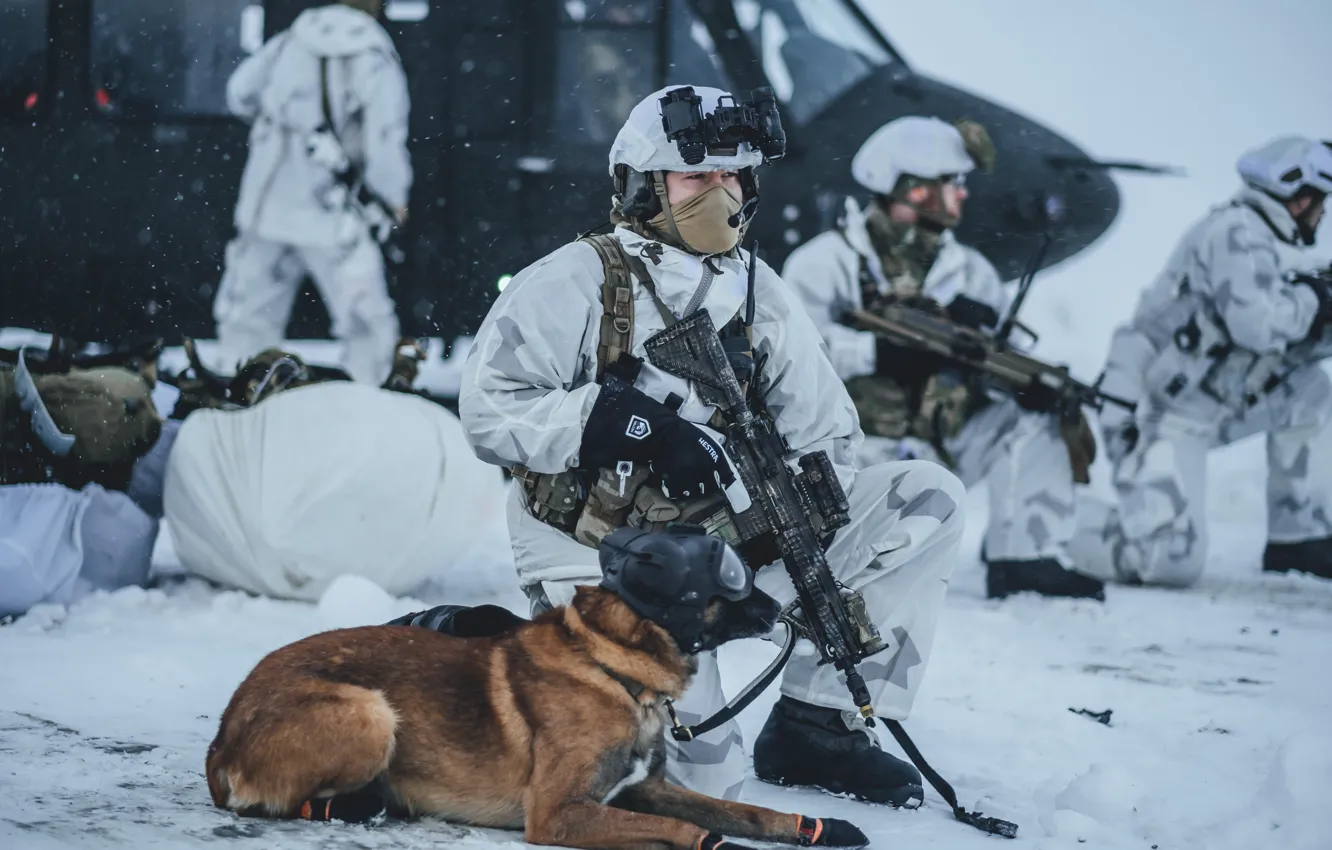 Фото обои собака, солдат, автомат, экипировка, Northern Norway, Северная Норвегия, Exercise Arctic Hawk, Norwegian Coastal Rangers