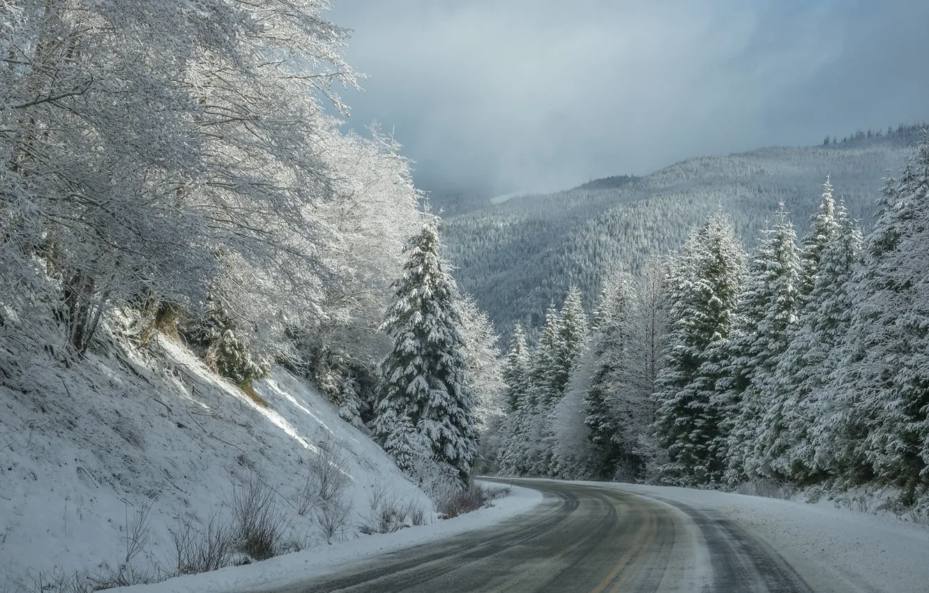 Фото обои зима, дорога, снег, деревья, трасса