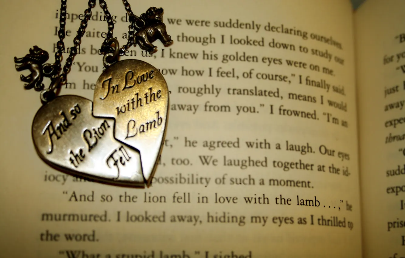 Фото обои обои, медальон, книга, love, разное, the, with, lion