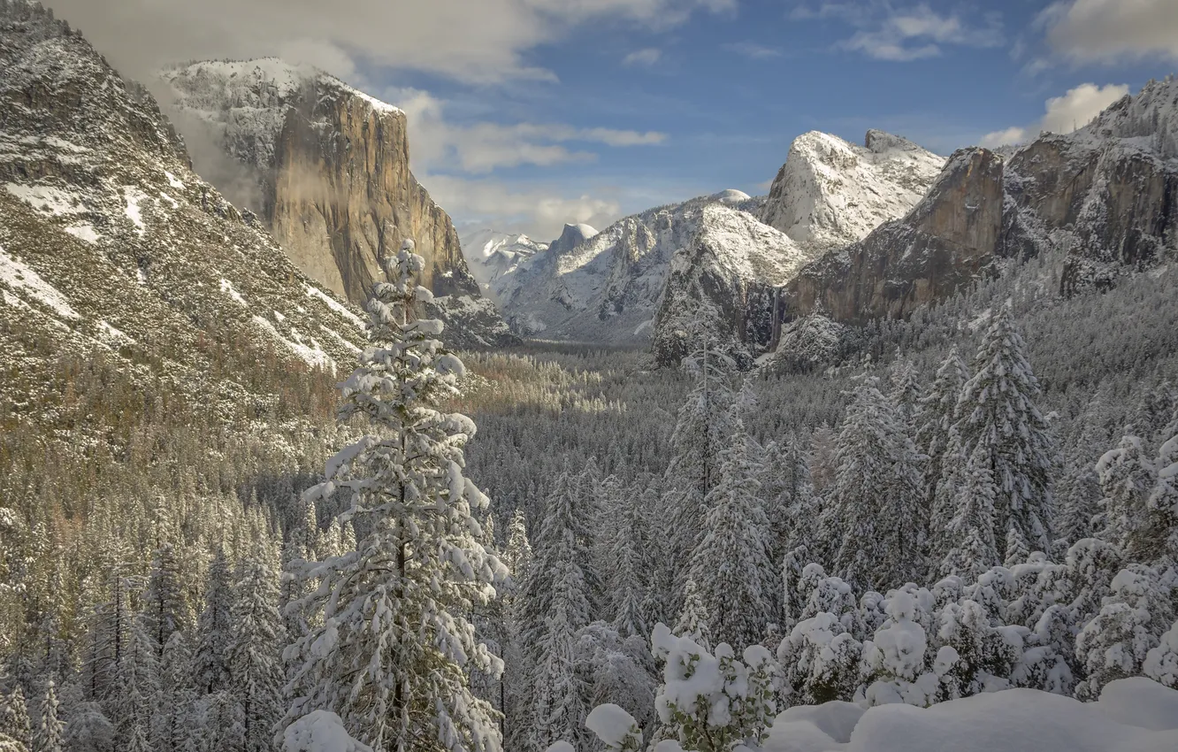 Фото обои зима, лес, снег, горы, долина, Калифорния, Йосемити, California