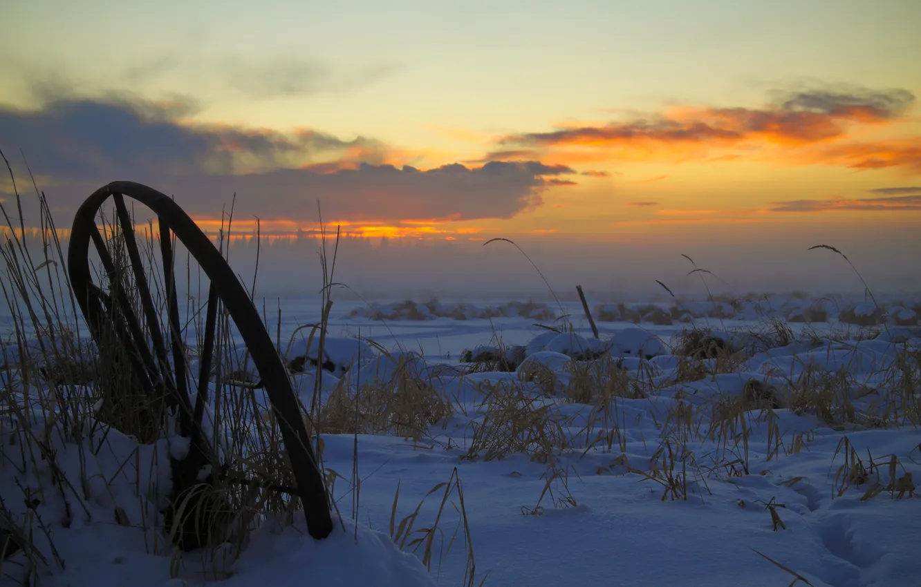 Фото обои зима, поле, трава, закат