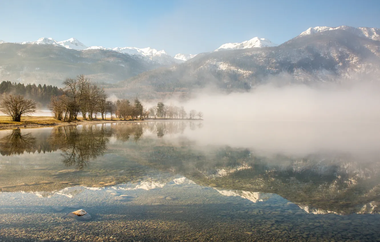 Фото обои туман, утро, Slovenia, Bohinj