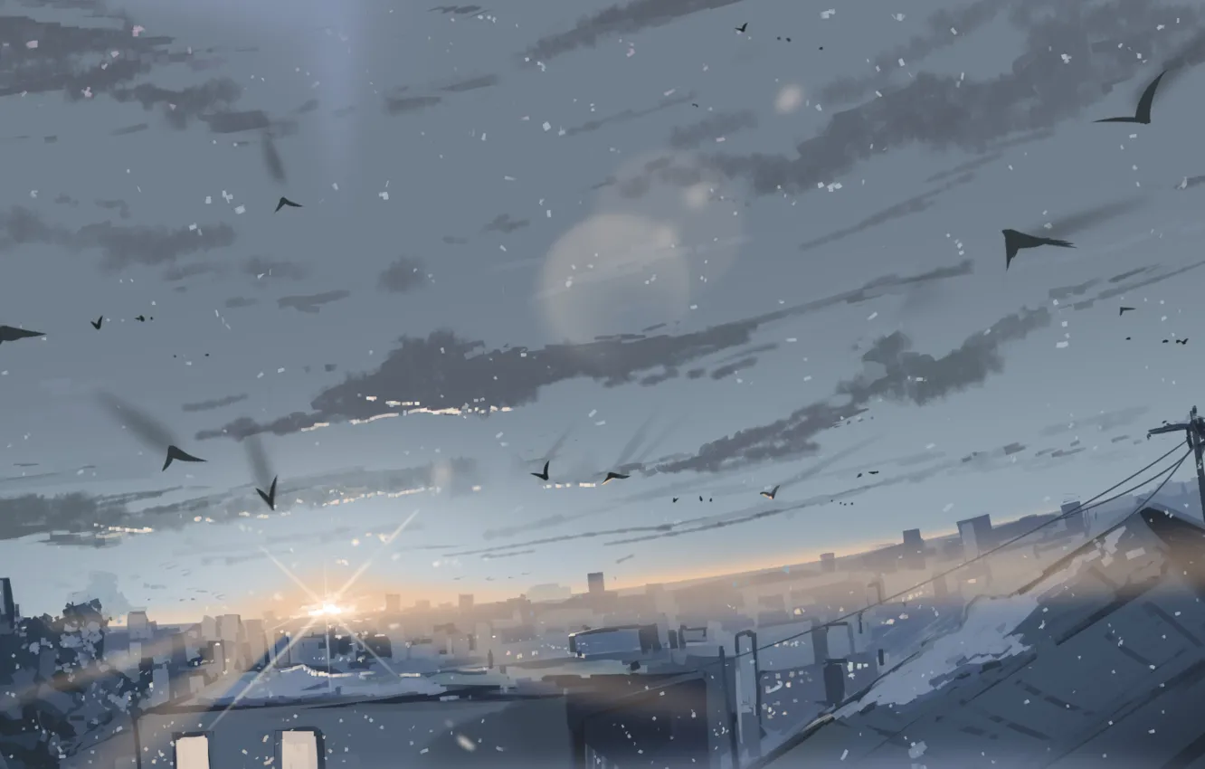 Фото обои зима, небо, снег, птицы, город