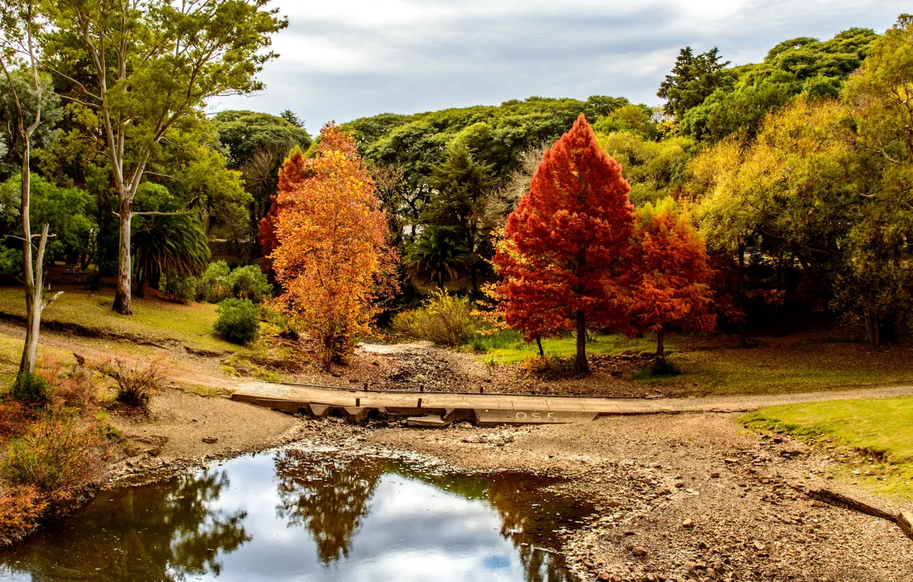 Фото обои Природа, Мост, Осень, Деревья, Река, Парк, Uruguay, Minas