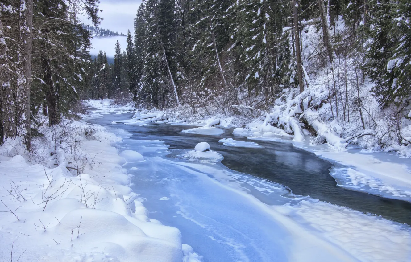 Фото обои зима, река, ручей