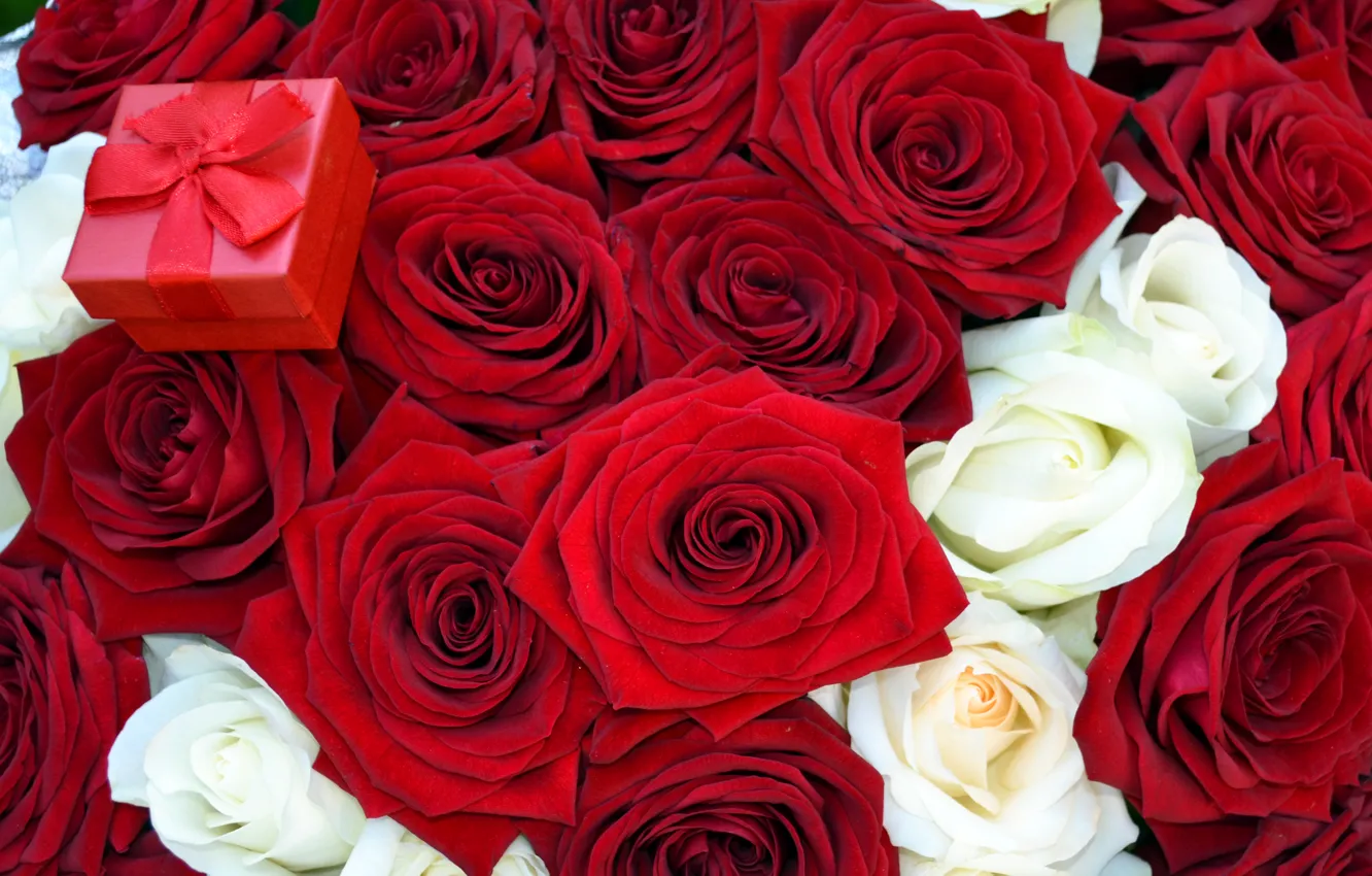 Фото обои цветы, розы, букет, красная, коробочка, предложение