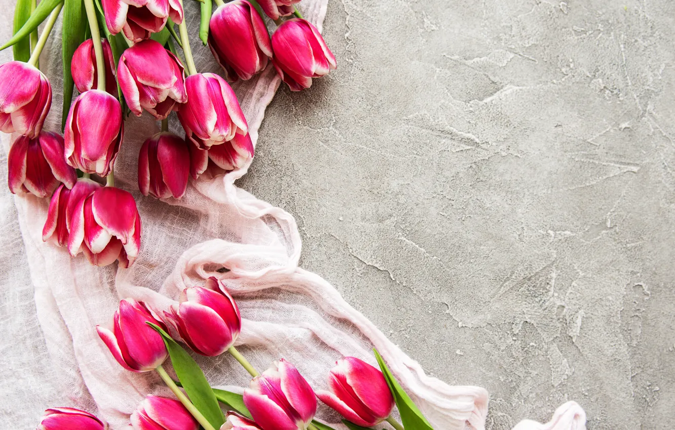 Фото обои цветы, тюльпаны, розовые, букеты, Olena Rudo