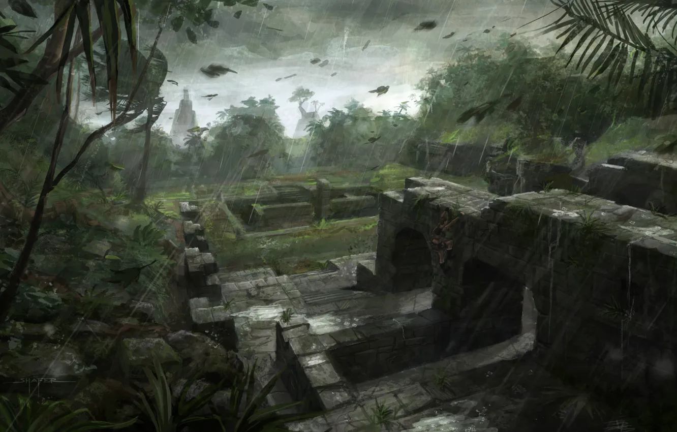 Фото обои игра, Tomb Raider, Лара
