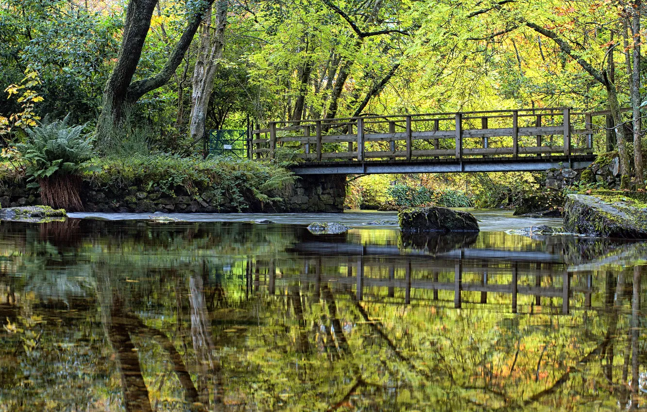 Фото обои зелень, вода, деревья, мост, отражение, река, камни, мох