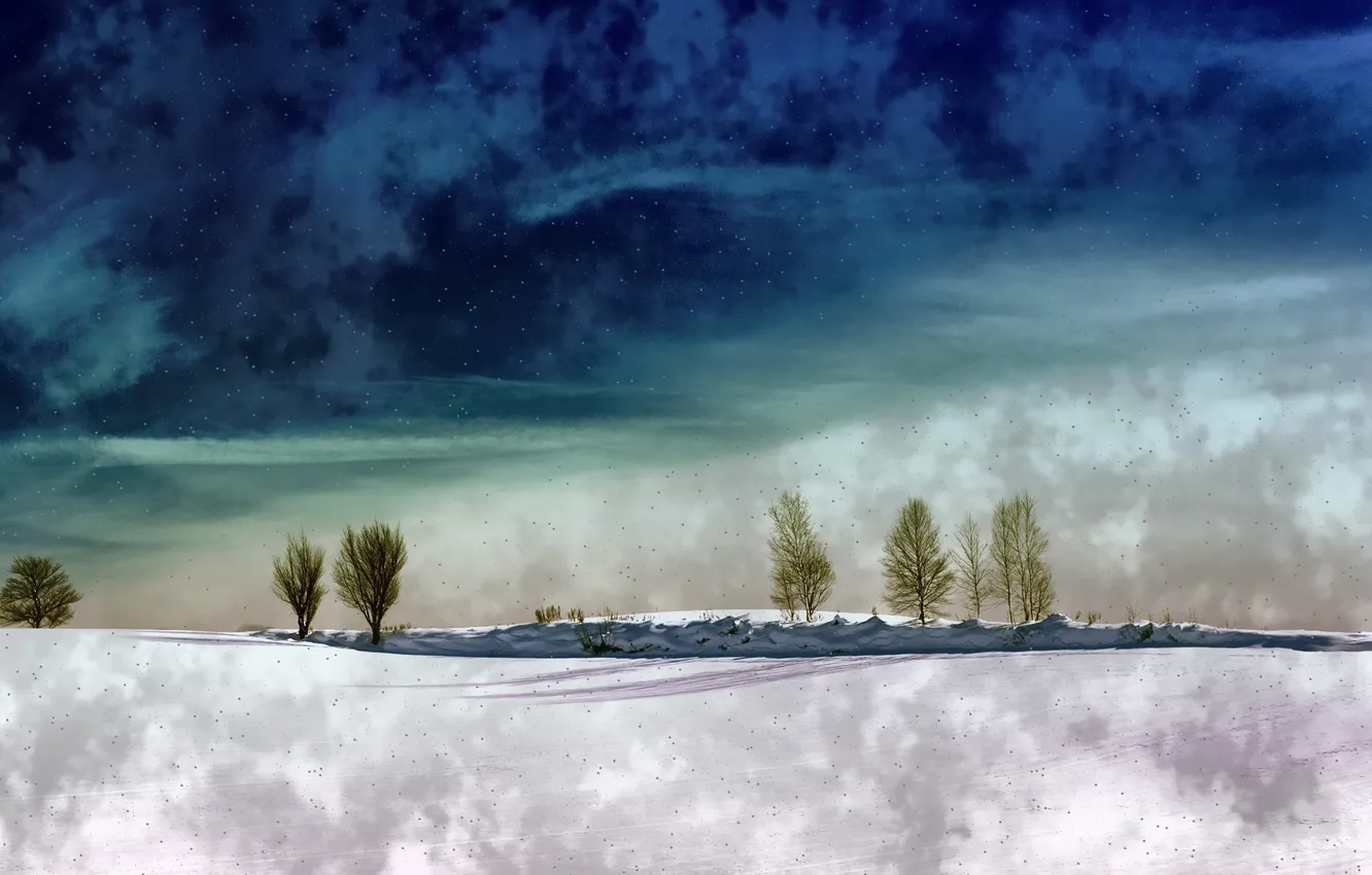 Фото обои зима, облака, снег, деревья