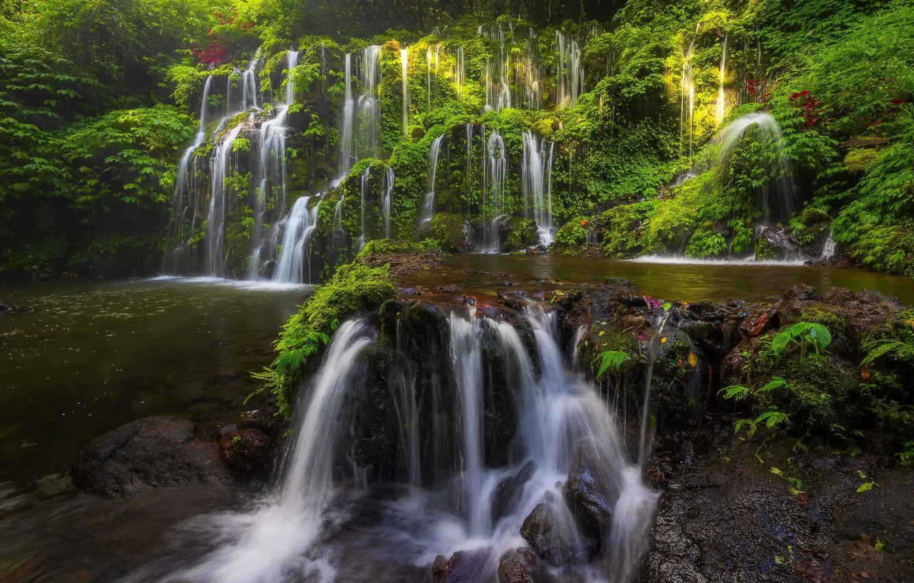 Фото обои река, водопад, Бали, Индонезия, каскад, Bali, Indonesia, Banyu Wana Amertha Waterfall